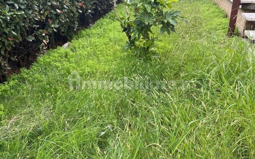Terratetto unifamiliare via A. Vespucci,, Capezzano Pianore, Camaiore — foto 2 di 21