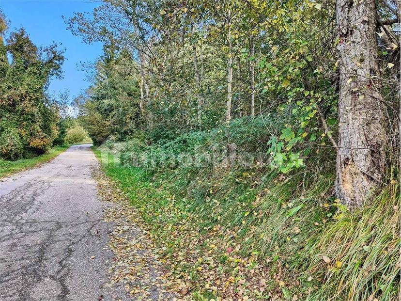 Villa unifamiliare via dei Mirtilli, Polsa, Brentonico — foto 7 di 11