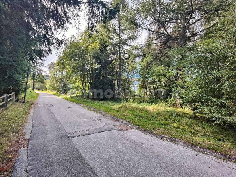 Villa unifamiliare via dei Mirtilli, Polsa, Brentonico — foto 9 di 11