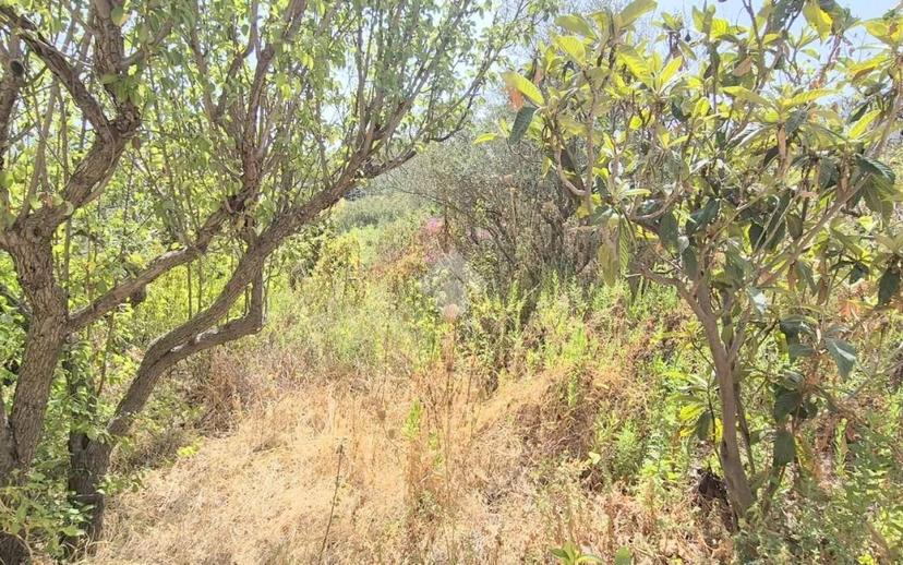 Villa unifamiliare via delle Rose Caculla, Caculla, Monreale — foto 3 di 28