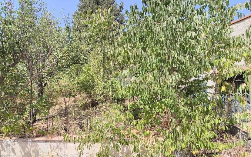 Villa unifamiliare via delle Rose Caculla, Caculla, Monreale — foto 16 di 28