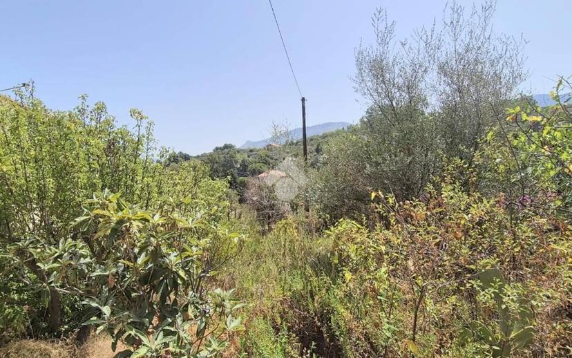 Villa unifamiliare via delle Rose Caculla, Caculla, Monreale — foto 5 di 28