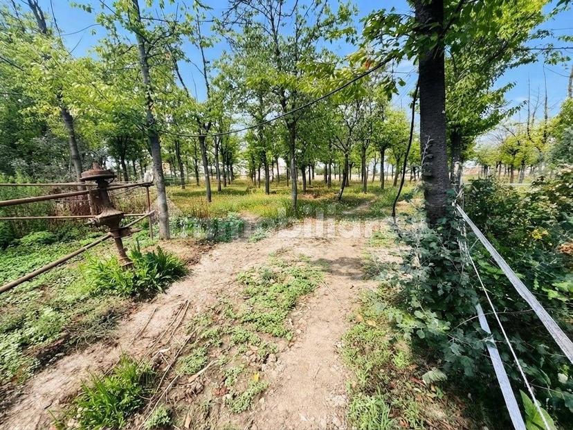 Terratetto plurifamiliare Strada Sette Vie a Portanova, Casal Cermelli — foto 17 di 39