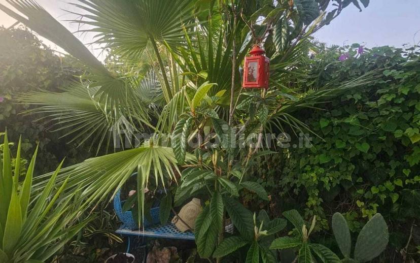 Villa unifamiliare via Pinogrande 16, Marina Di Lizzano, Lizzano — foto 33 di 76
