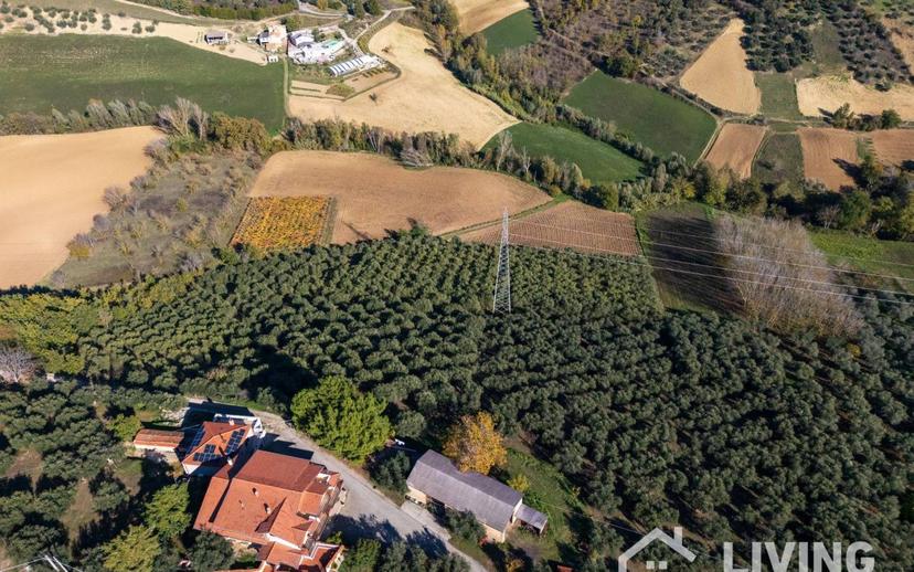 Villa plurifamiliare Contrada Rielli 1, Loreto Aprutino — foto 16 di 89