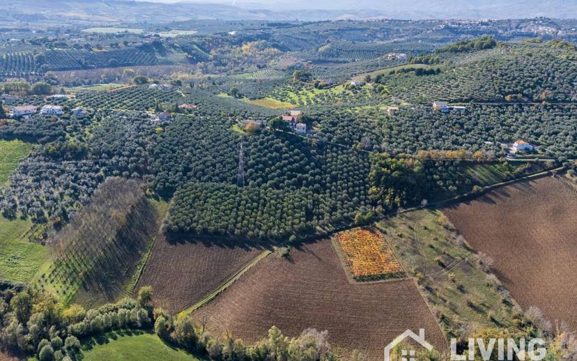 Villa plurifamiliare Contrada Rielli 1, Loreto Aprutino — foto 43 di 89