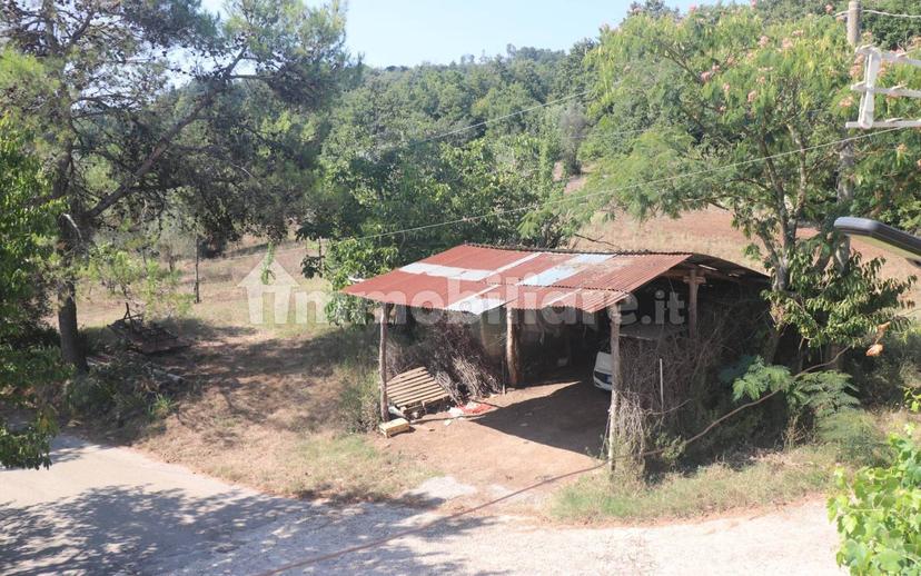 Casa colonica, da ristrutturare, 210 m², Centro, Caiazzo — foto 19 di 20