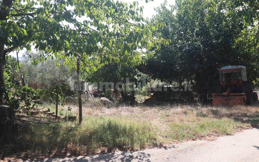 Casa colonica, da ristrutturare, 210 m², Centro, Caiazzo — foto 6 di 20