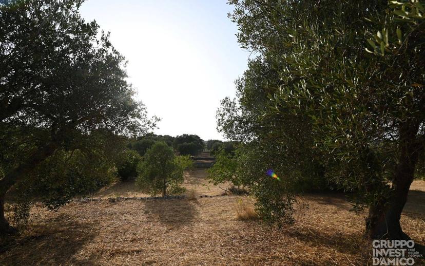 Villa unifamiliare Contrada San Salvatore, Campanile, Fumarola, Cavalleriza, Ostuni — foto 4 di 11