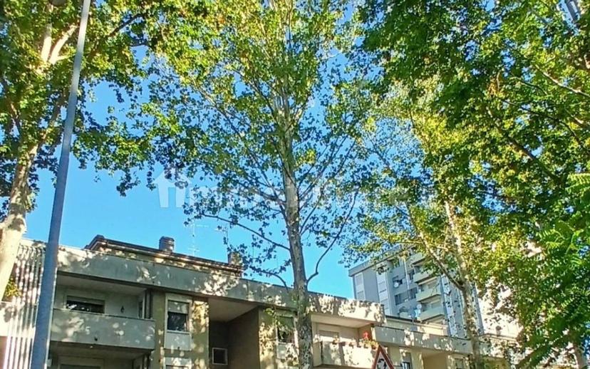 Bilocale ottimo stato, secondo piano, Mirabello, Reggio Emilia — foto 3 di 25