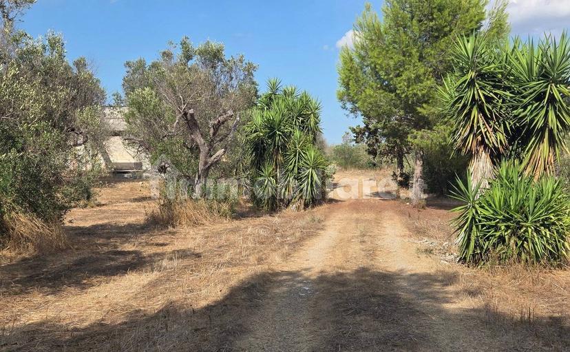 Villa unifamiliare Strada Provinciale Neviano Tuglie, Tuglie — foto 12 di 26
