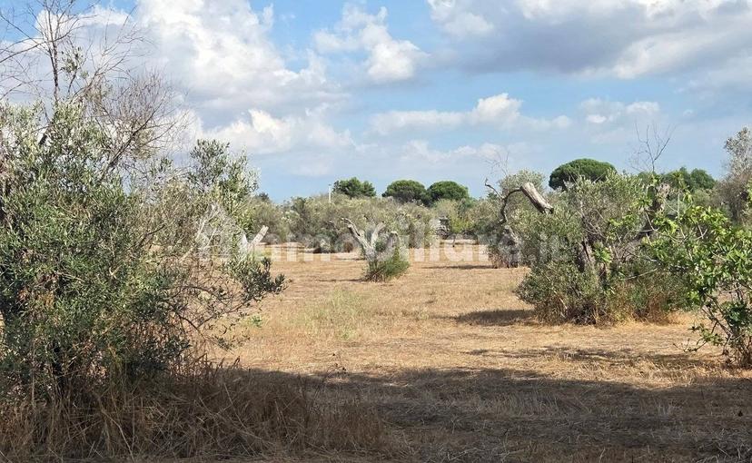 Villa unifamiliare Strada Provinciale Neviano Tuglie, Tuglie — foto 5 di 26