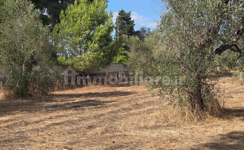 Villa unifamiliare Strada Provinciale Neviano Tuglie, Tuglie — foto 13 di 26