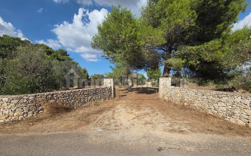 Villa unifamiliare Strada Provinciale Neviano Tuglie, Tuglie — foto 16 di 26
