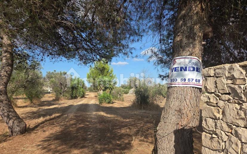 Villa unifamiliare Strada Provinciale Neviano Tuglie, Tuglie — foto 20 di 26