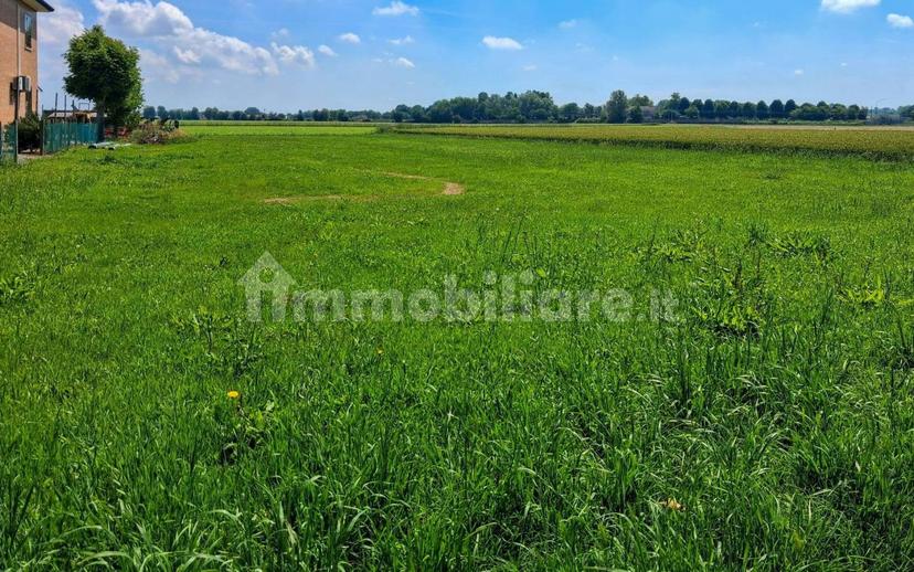 Villa plurifamiliare via Cimitero 6, Fossalta, Copparo — foto 29 di 41