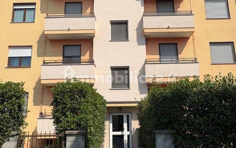 Trilocale via Galliate 34, Romentino — foto 21 di 41