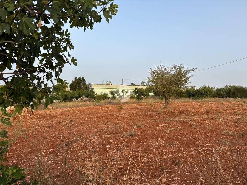 Villa unifamiliare Contrada Parparo, Martina Franca — foto 11 di 32