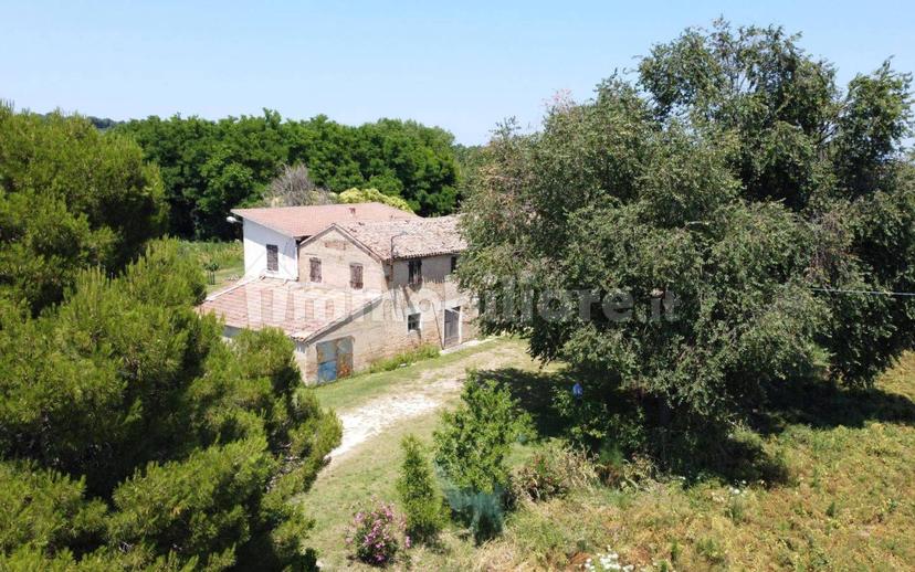Casa colonica via della Trave 86, Poderino - Trave, Fano — foto 9 di 24