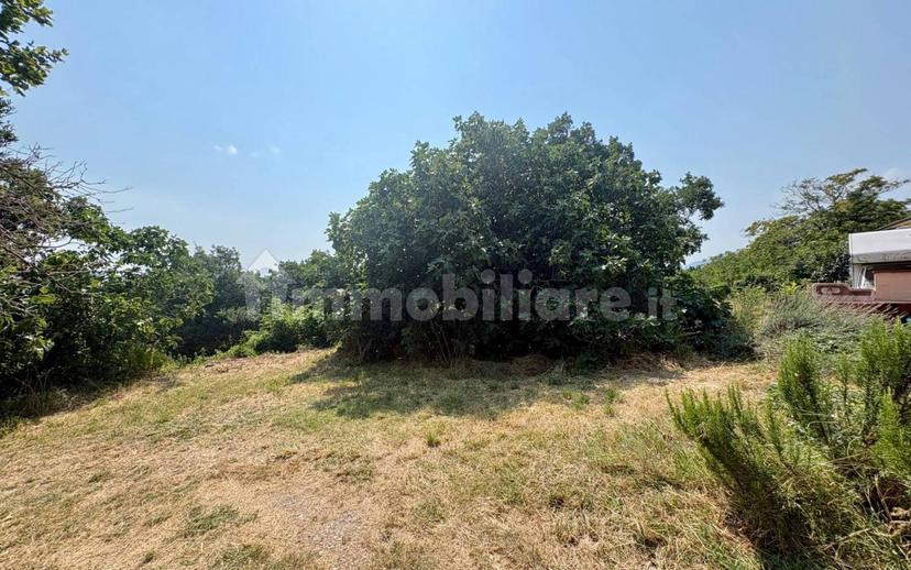 Rustico Fraz. Cupo 31/A, Cupo, Fabriano — foto 39 di 64