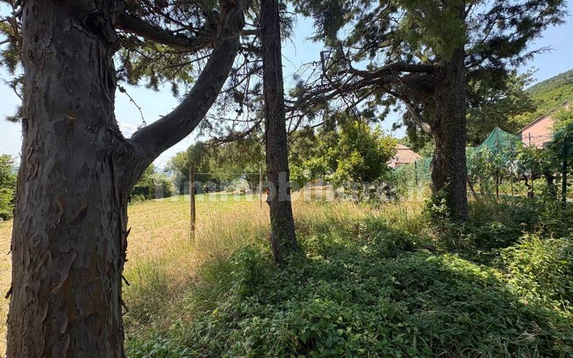 Rustico Fraz. Cupo 31/A, Cupo, Fabriano — foto 29 di 64
