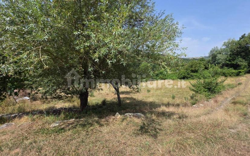 Rustico via Chiassi di Borgo, Santa Fiora — foto 18 di 50