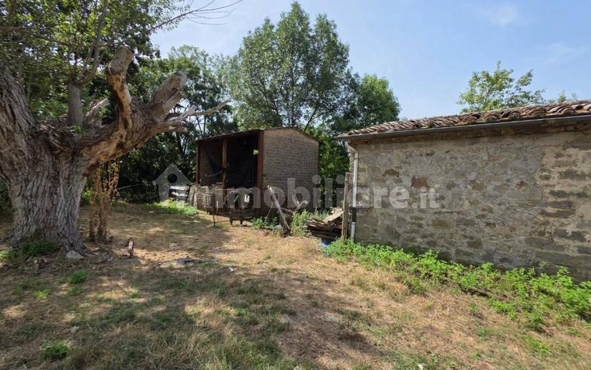 Rustico via Chiassi di Borgo, Santa Fiora — foto 47 di 50