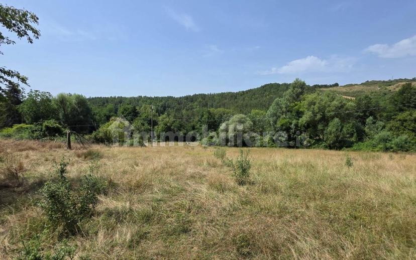 Rustico via Chiassi di Borgo, Santa Fiora — foto 49 di 50