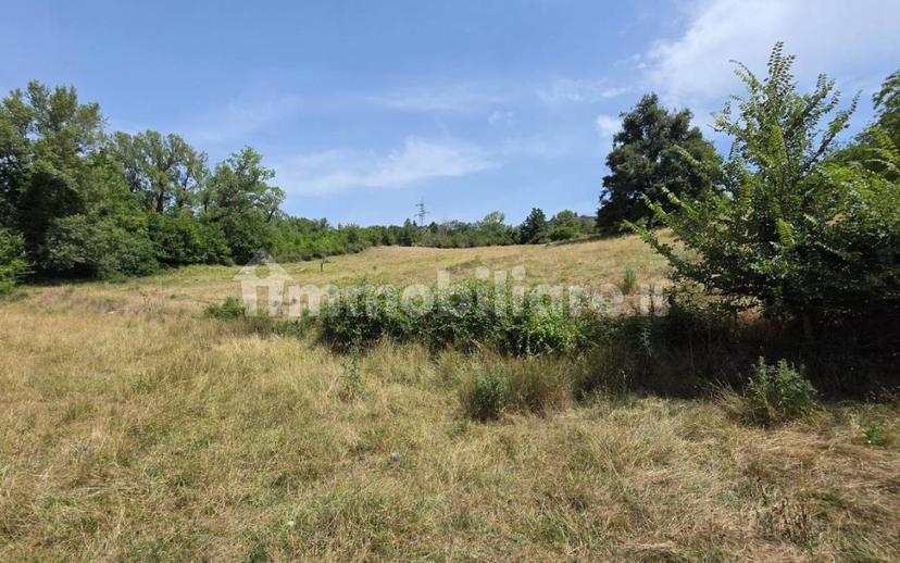 Rustico via Chiassi di Borgo, Santa Fiora — foto 3 di 50