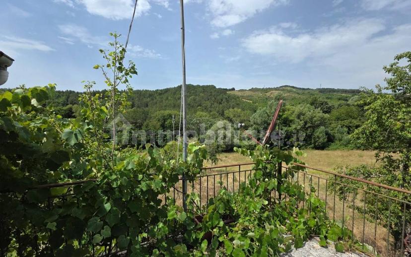 Rustico via Chiassi di Borgo, Santa Fiora — foto 36 di 50