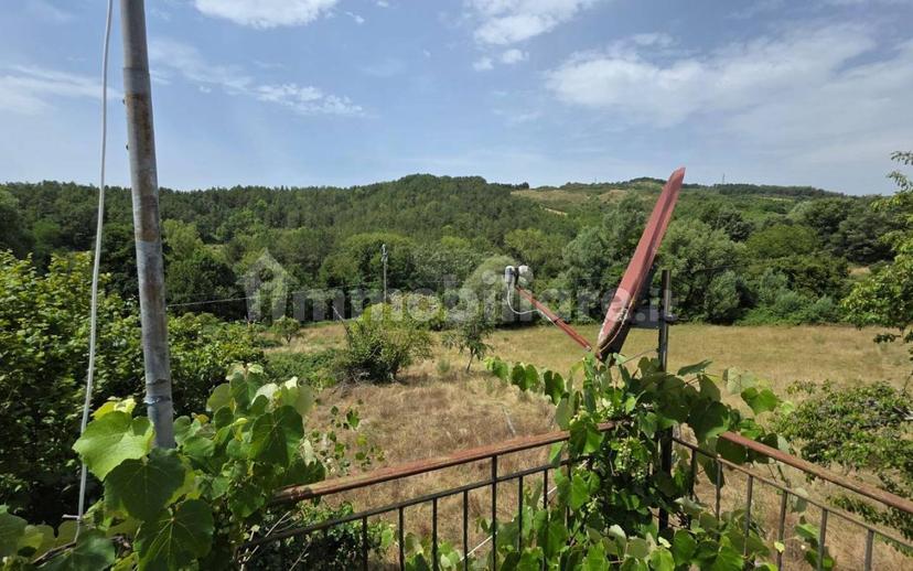 Rustico via Chiassi di Borgo, Santa Fiora — foto 2 di 50