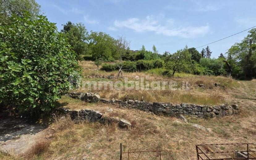 Rustico via Chiassi di Borgo, Santa Fiora — foto 34 di 50