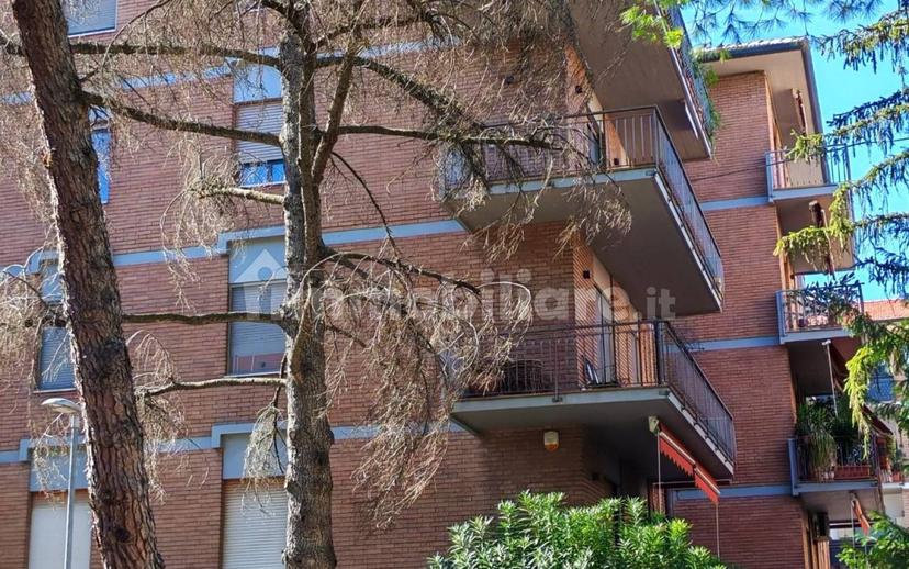Quadrilocale viale Medaglie d'Oro 46, Spazzoli - Medaglie D'Oro, Forlì — foto 20 di 21