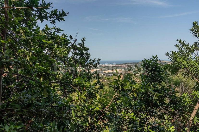 Villa unifamiliare Str. Tresole, 32, Novilara, Pesaro — foto 38 di 42
