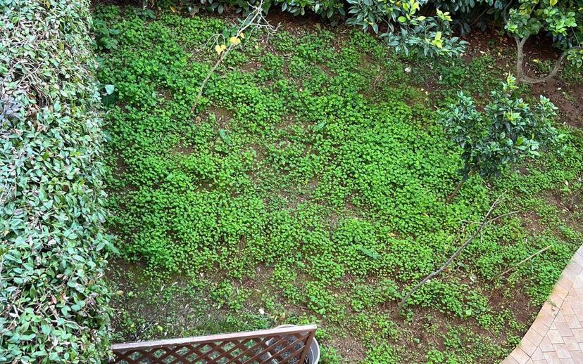 Villa unifamiliare viale Sandro Pertini 710, San Filippo Neri, Palermo — foto 19 di 27