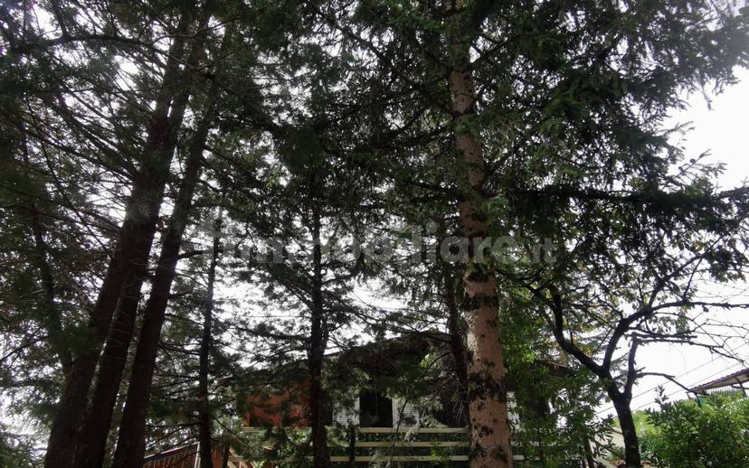 Bilocale viale Giuseppe Saragat 4, Pratarioni, Pozzaglia Sabina — foto 7 di 20