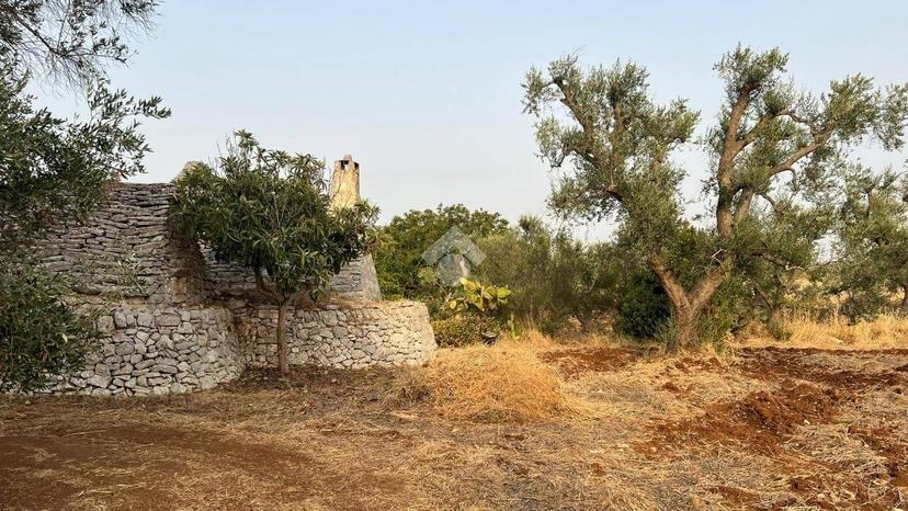 Rustico Contrada Archivecchi, San Michele Salentino — foto 11 di 22