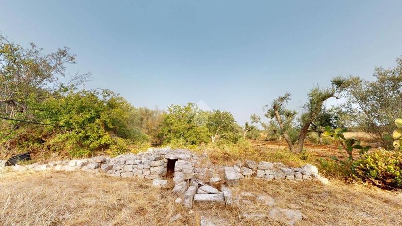 Rustico Contrada Archivecchi, San Michele Salentino — foto 10 di 22