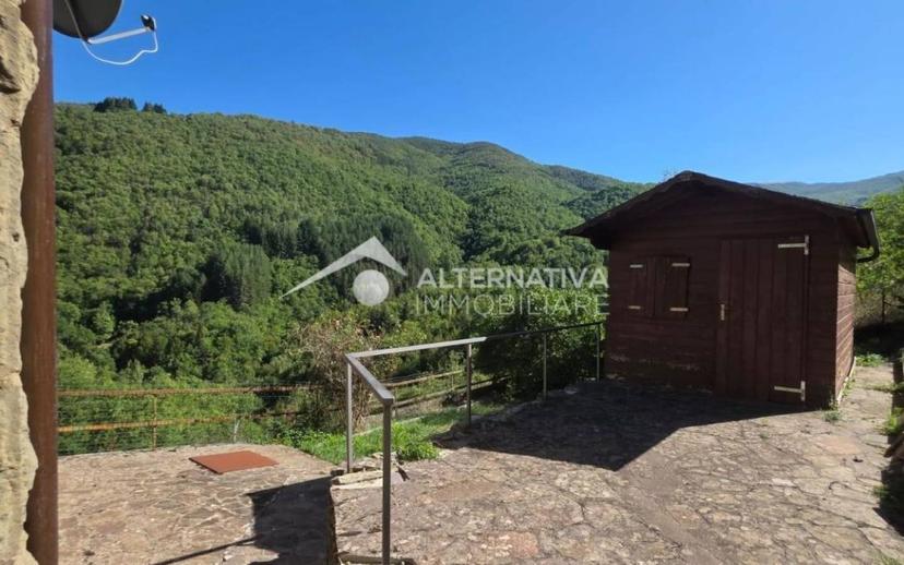 Terratetto unifamiliare Cetica, Cetica, Castel San Niccolò — foto 23 di 45