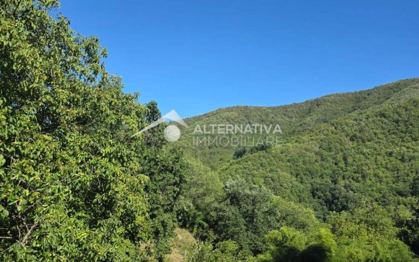 Terratetto unifamiliare Cetica, Cetica, Castel San Niccolò — foto 28 di 45