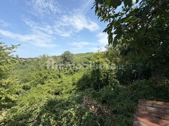 Cascina, da ristrutturare, 400 m², Roccaverano — foto 11 di 22