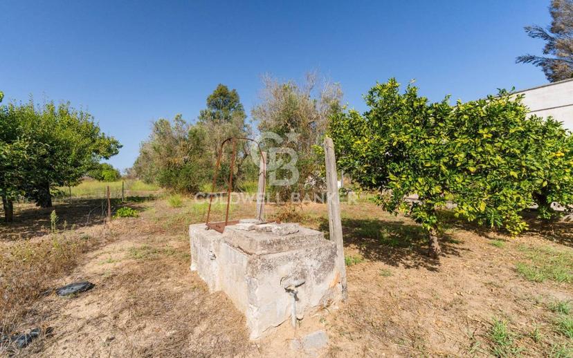 Terratetto unifamiliare Contrada Colacone, Collepasso — foto 16 di 22