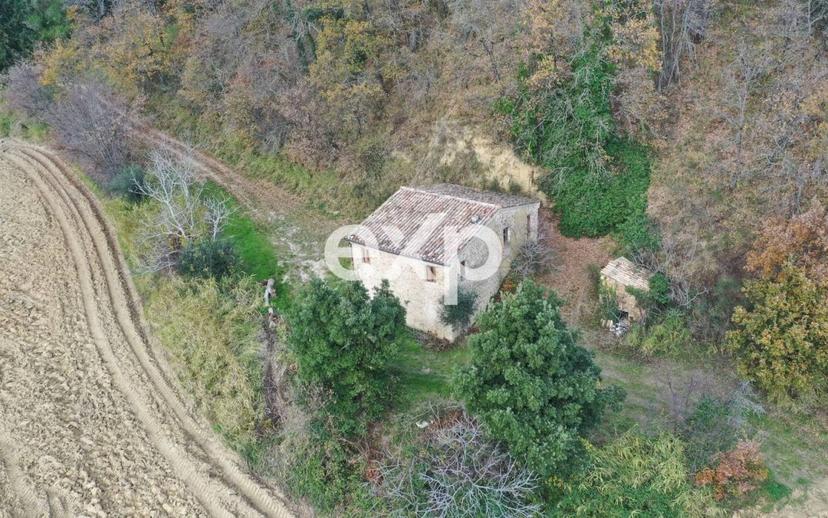 Casa colonica via dei Lubachi, 22, Fratte Rosa — foto 9 di 12