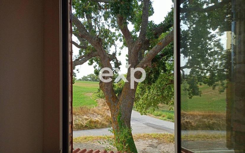 Casa colonica via Serra, 22, Montefelcino — foto 22 di 49