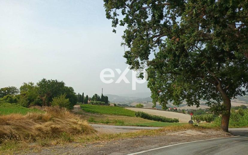 Casa colonica via Serra, 22, Montefelcino — foto 30 di 49