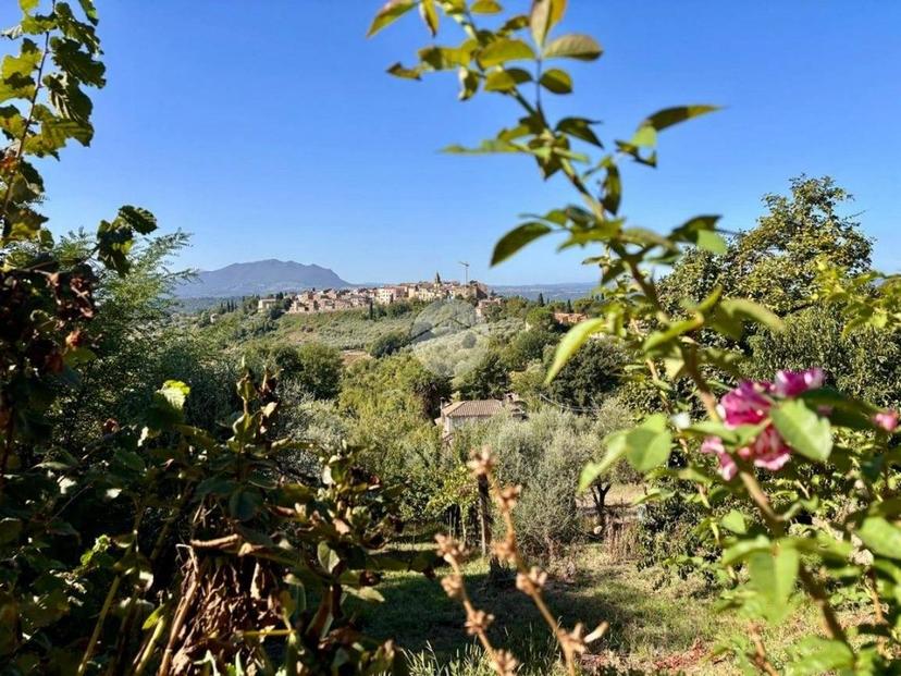 Terratetto unifamiliare via Di Valle Menetola, Centro, Collevecchio — foto 5 di 24