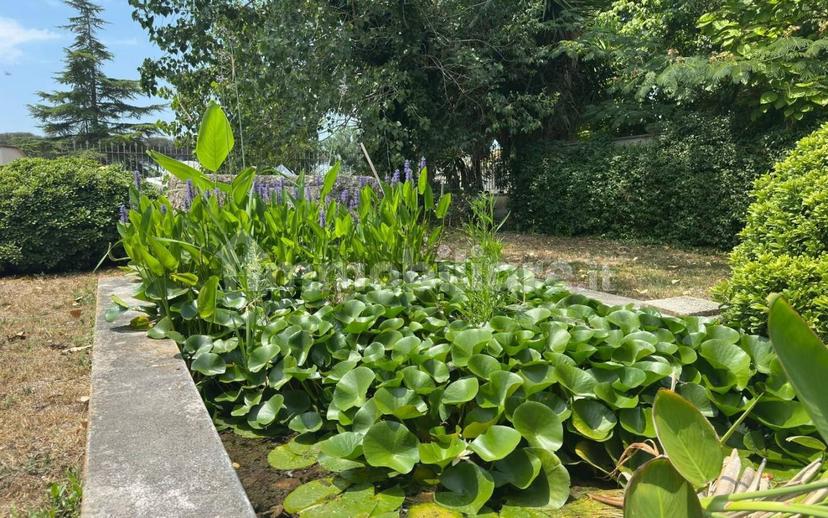Villa unifamiliare via Strada Statale 7 Appia, 7, Borgo San Michele, Latina — foto 11 di 51