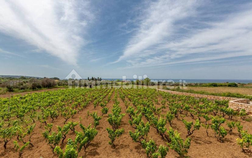 Villa unifamiliare Strada Comunale Primo Pali, Salve — foto 38 di 38