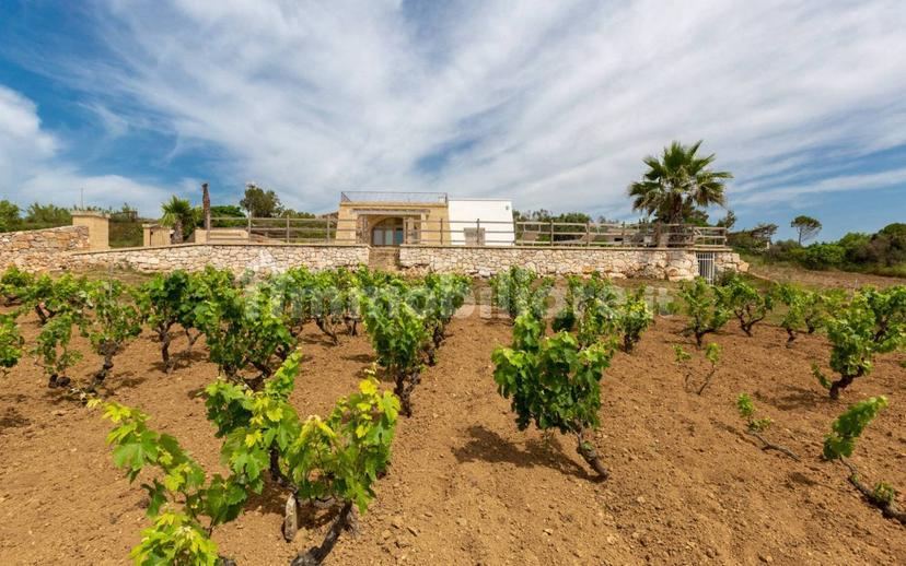 Villa unifamiliare Strada Comunale Primo Pali, Salve — foto 31 di 38