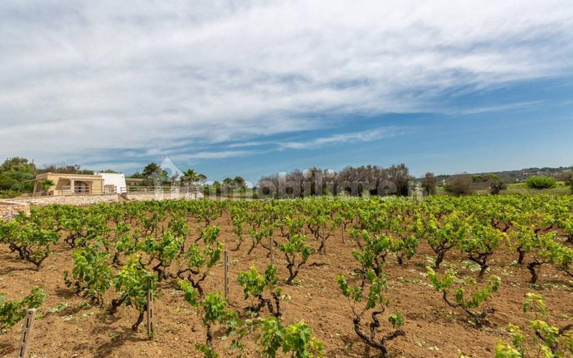 Villa unifamiliare Strada Comunale Primo Pali, Salve — foto 2 di 38